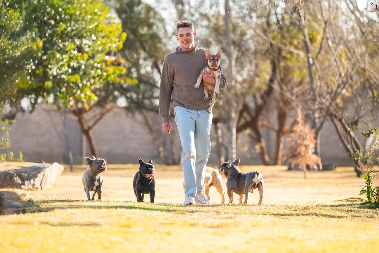 Walking with the pack on the farm