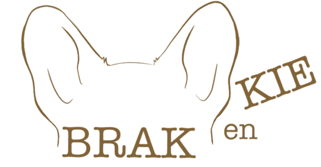 BrakEnKie Logo